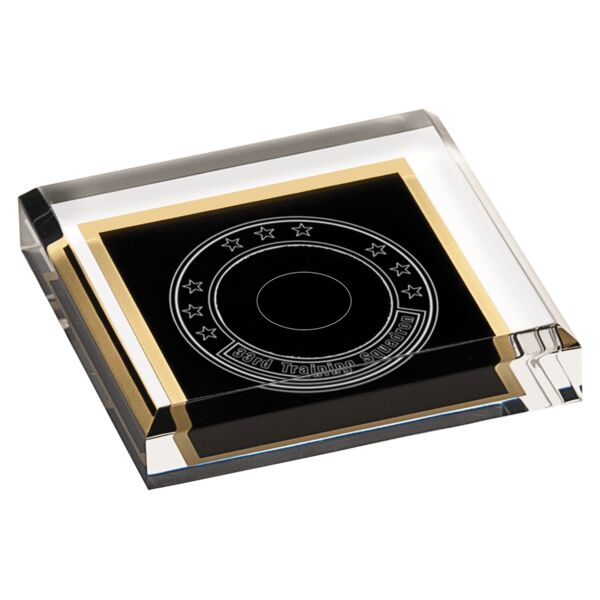 3 3/4" x 3 3/4" Acrylic Paperweight Thumbnail