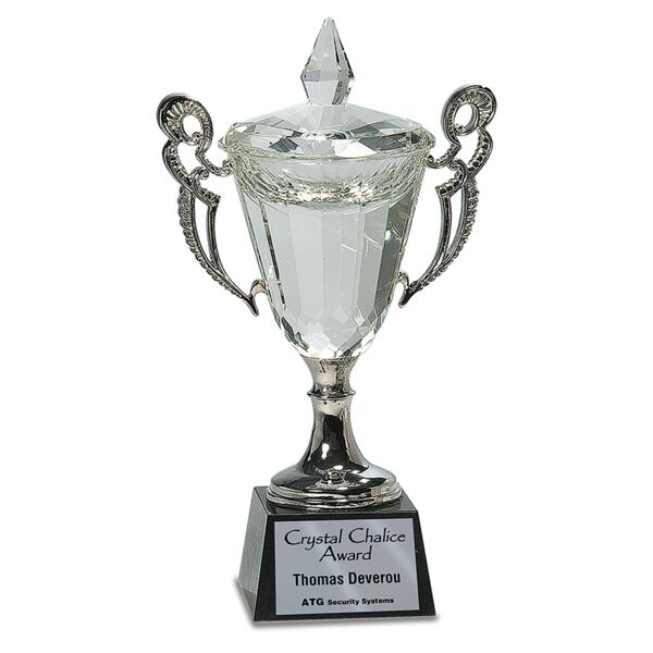 11 1/4" Crystal Cup with Handles and Stem Thumbnail