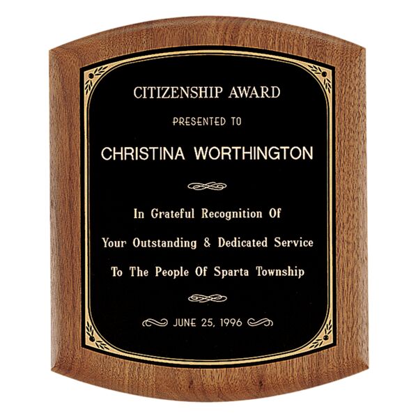 8 1/2" x 10" Coventry Series American Plaque with Border Laserable Brass Plate Thumbnail