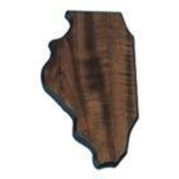 6" x 10 1/2" Finish Edge Illinois State Plaque Thumbnail