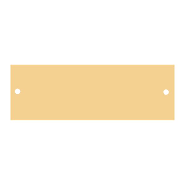 7/8" x 2 3/4" Polished Brass Plate with Two Holes Thumbnail