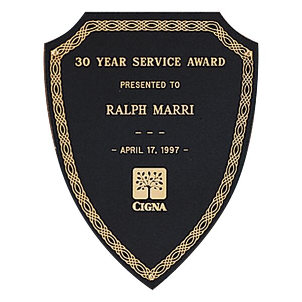 7 1/2" x 9 3/4" Laserable Brass Shield Plate with Design Border and Three Holes (Fits P36) Thumbnail